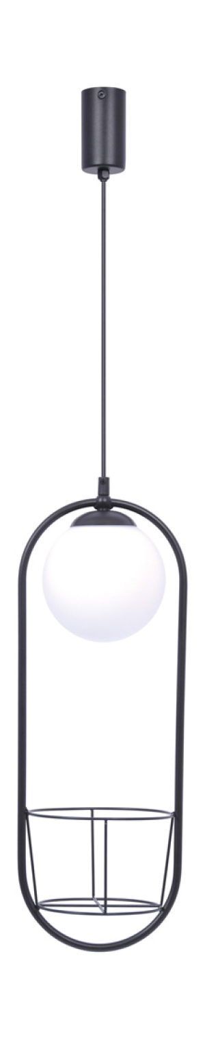 ZUMA LINE 5003 PLANT závesné svietidlo