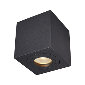 ZUMA LINE ACGU10-161-N QUARDIP bodové svietidlo