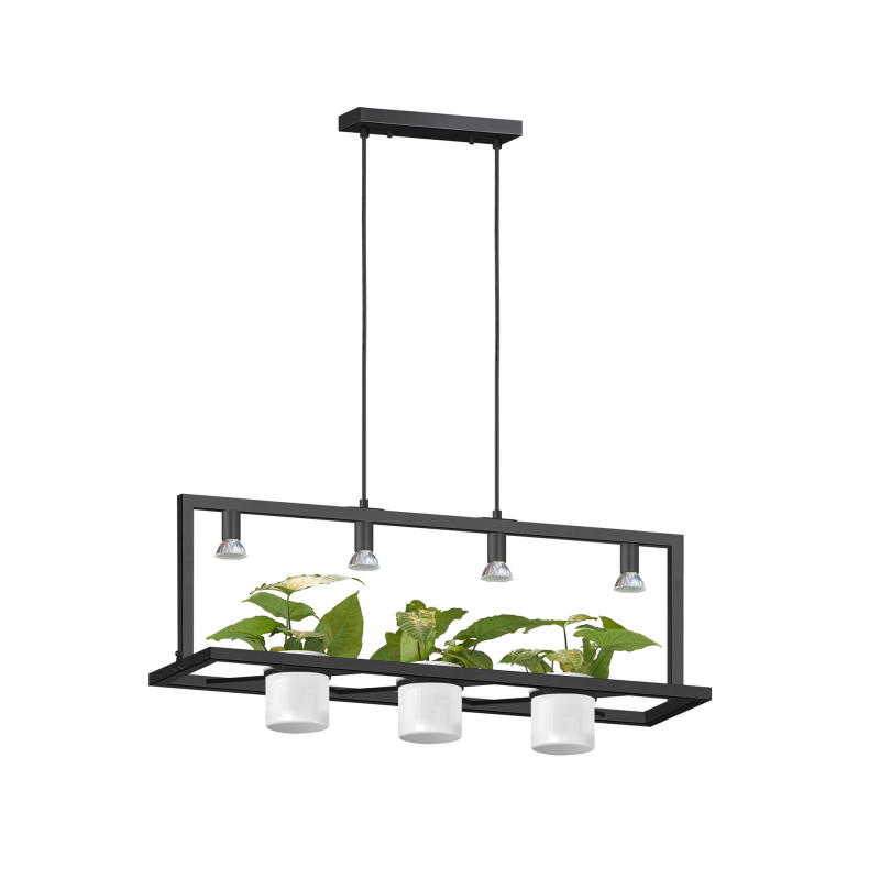 ZUMA LINE P0536-04B-P7AB PLANTER závesné svietidlo